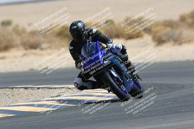 media/Mar-28-2022-Superbike Trackdays (Mon) [[b8603d0f67]]/Open Track Time/Turn 16/